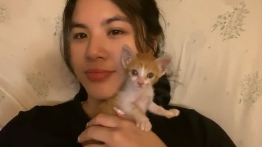 Para Lamang sa Pussy Lover ang Ayuda ni Amber