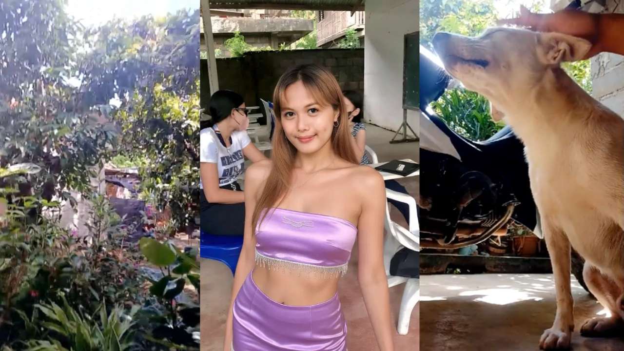 Risky Cristy Cumpilation